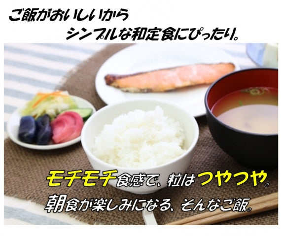 令和6年産　南魚沼産こしひかり（南魚沼地区限定）　5kg