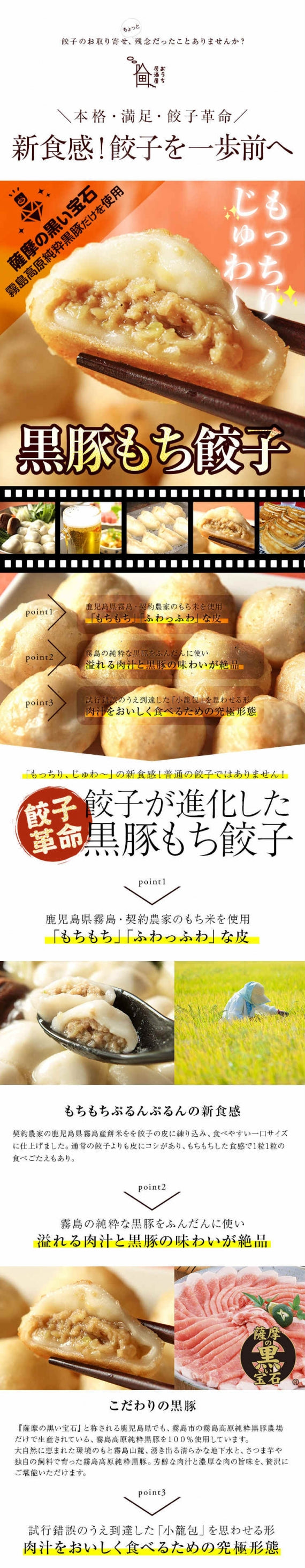 おつまみ ギフト セット おもちのぎょうざ　黒豚もち餃子 20g×24個 冷凍 送料無料 オリジナルギフトボックス入
