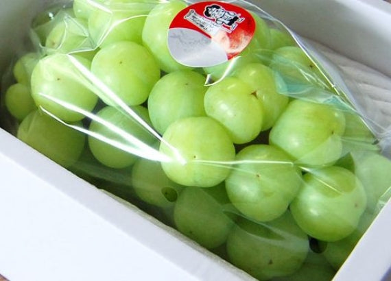 予約販売！「岡山特産」桃太郎ぶどう【青秀】1房（約700g）皮まで食べれてしかも種なし！【発送は８/20日から】