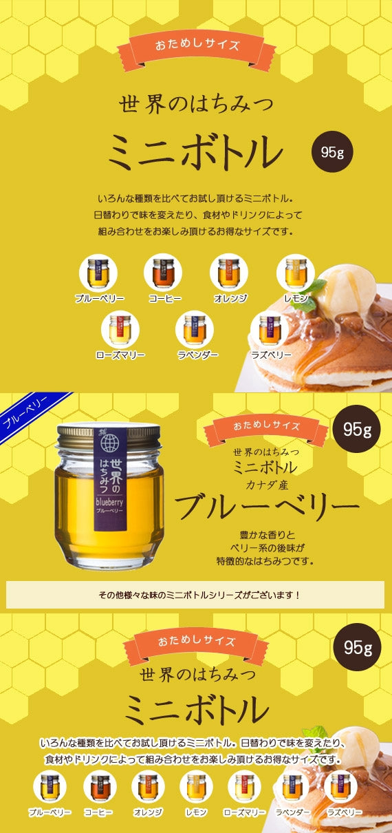 ブルーベリーハチミツミニボトル （95g）