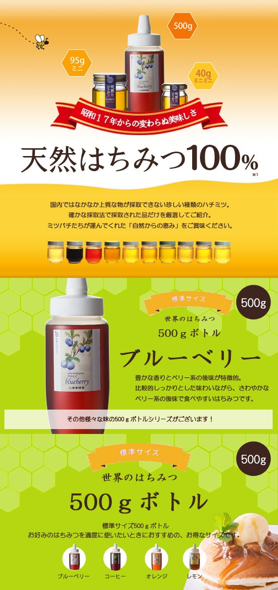 ブルーベリーハチミツ500gボトル （500g）