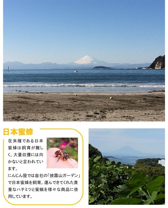 湘南スパイシーオイル