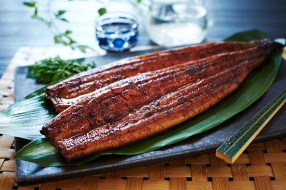 鹿児島県産うなぎ蒲焼　訳あり（送料込み）