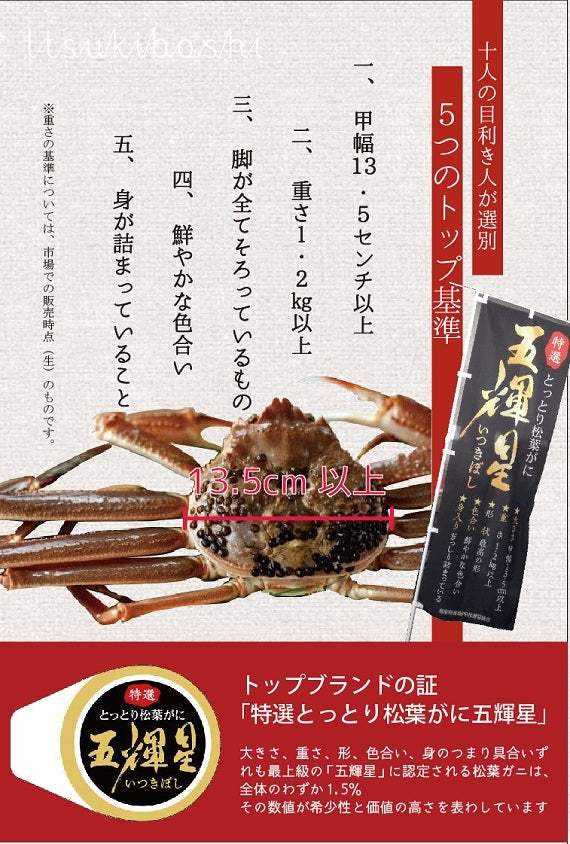 最高級ブランド・特選とっとり松葉がに「五輝星」　 タグ付　【生／茹で】