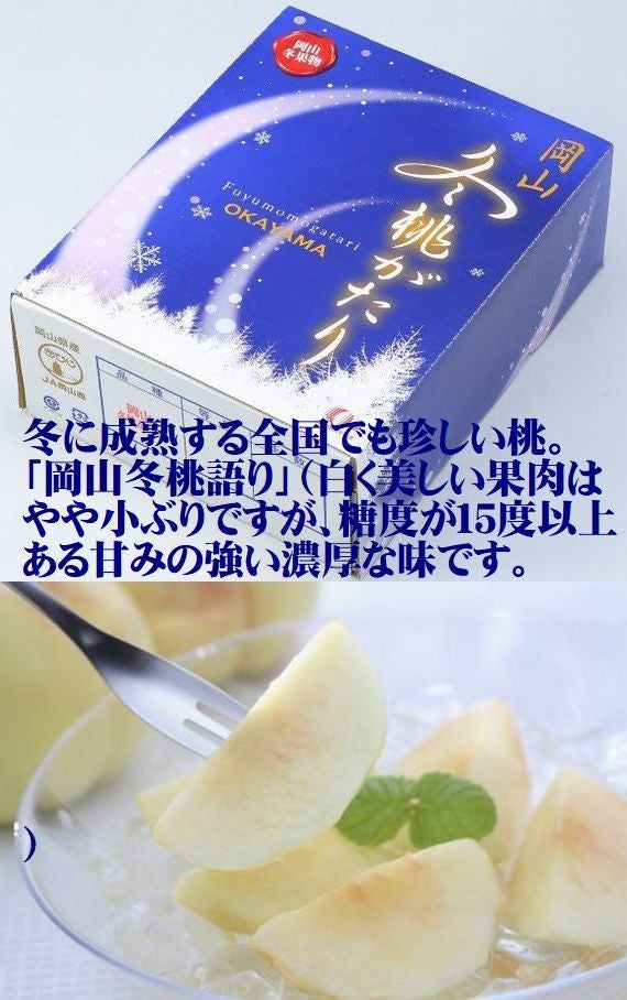 発送は11発下旬から！ 岡山冬桃がたり【エース】　JA吉備路・白桃（光センサー選別 )  6個～9個　約1.3kg　※小ぶりの桃です※　発送は11月下旬頃から開始予定
