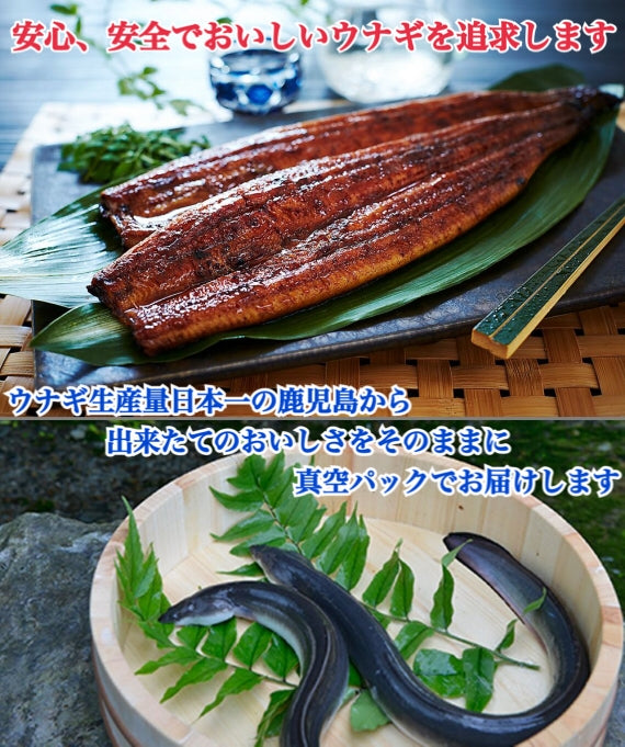鹿児島県産きざみうなぎ蒲焼　60ｇ×5 袋（送料込み）