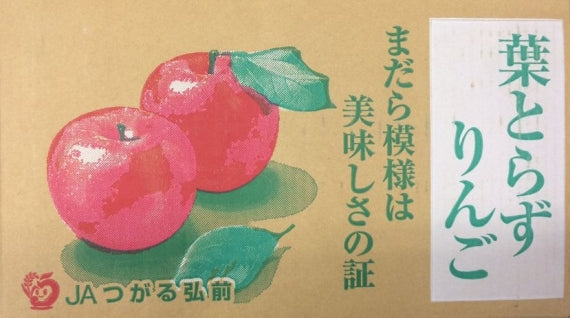 【葉とらず太陽ふじりんご・サンふじ】青森県JAつがる弘前（14～16個）5ｋｇ・林檎　