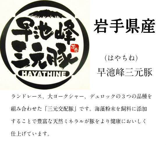 早池峰(はやちね）三元豚スライス2.4ｋセット【冷凍】【岩手県産豚】