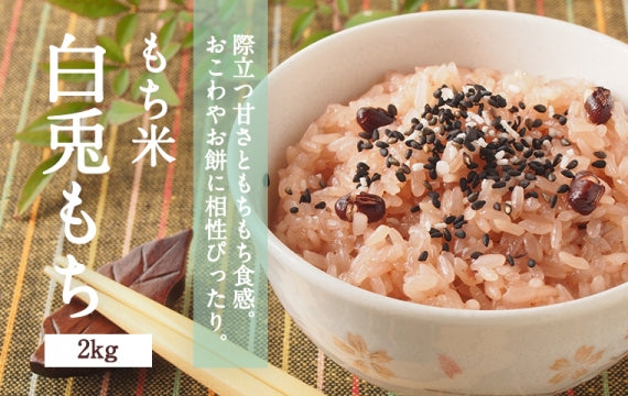 ★特別栽培米★ 鳥取県産  もち米（白兎もち）2kg【おこわ・赤飯が絶品に！際立つ甘さともちもち食感】