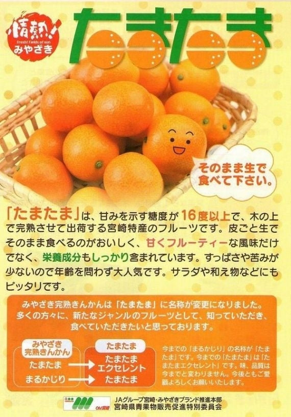 みかん　「情熱！みやざき」完熟きんかん【たまたま】糖度16度以上3Ｌ秀品（1.0ｋｇ）皮ごと丸かじり！ＪＡみやざき