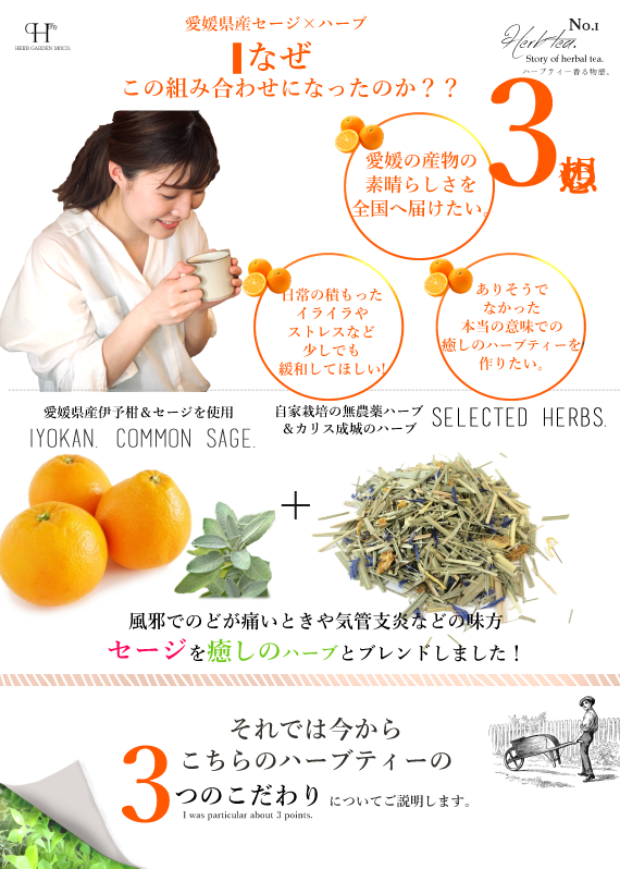 モコ・オリジナルハーブティー　『愛媛いよかんの森の木漏れ日』