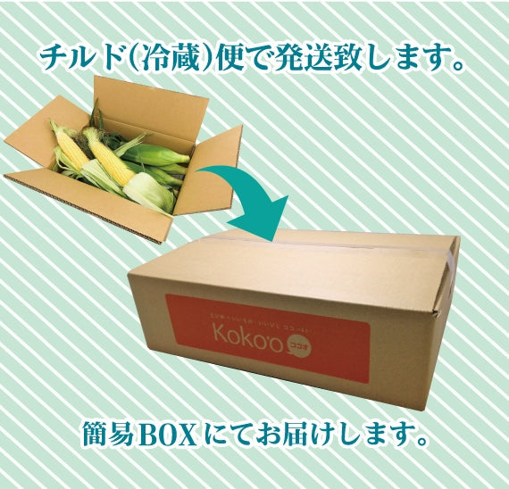 【※今季完売いたしました※】旬！とうもろこし　【２Lサイズ：８本入り】