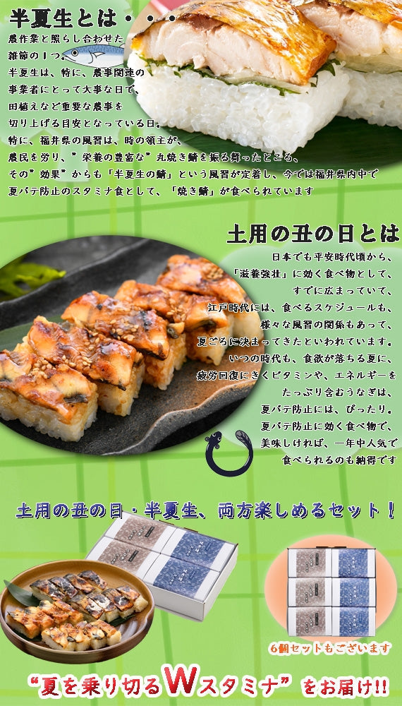 【醤油名匠・焼き鯖寿司発祥の店】越前三国湊屋のお中元セット～元祖焼き鯖寿司(4切れ×2箱)・うなぎの押し寿司(4切れ×2箱)の豪華２本立てセット～「半夏生(はんげしょう)」と「土用の丑(うし)の日」両方お楽しみ頂ける豪華セットです♪