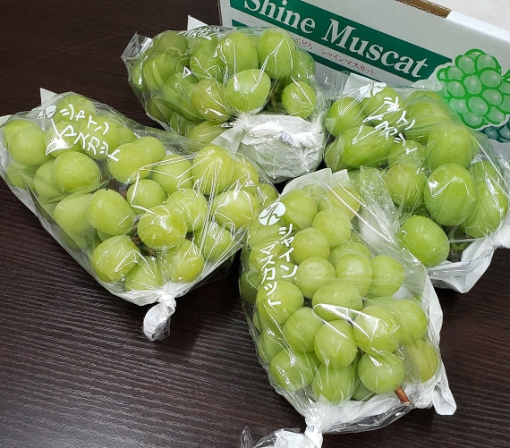【販売中】パリッとした食感「シャインマスカット」１箱（約２ｋｇ）４～６房入り