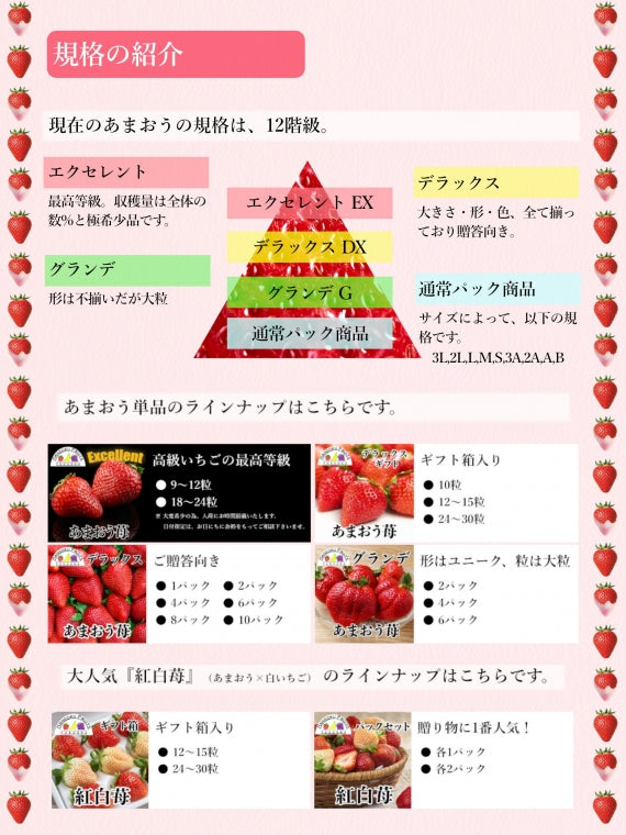 【予約販売】福岡産 あまおういちご
