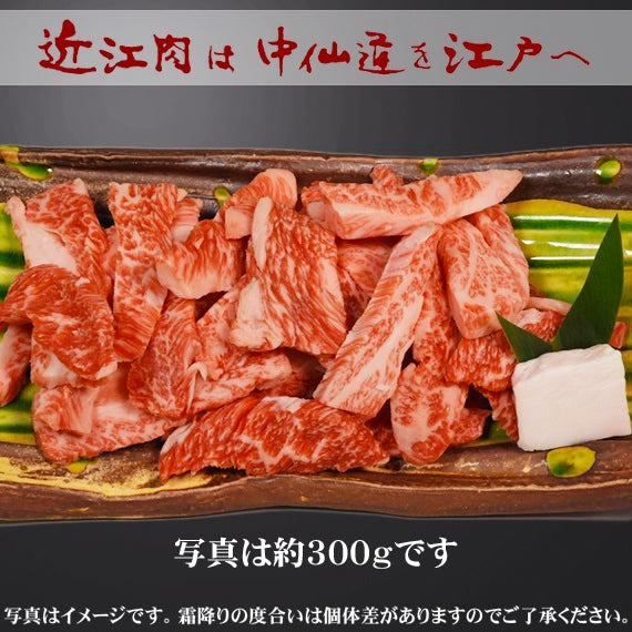 【近江牛の牝牛専門店】お得切落し焼肉用　500g（お一人様1kgまで）