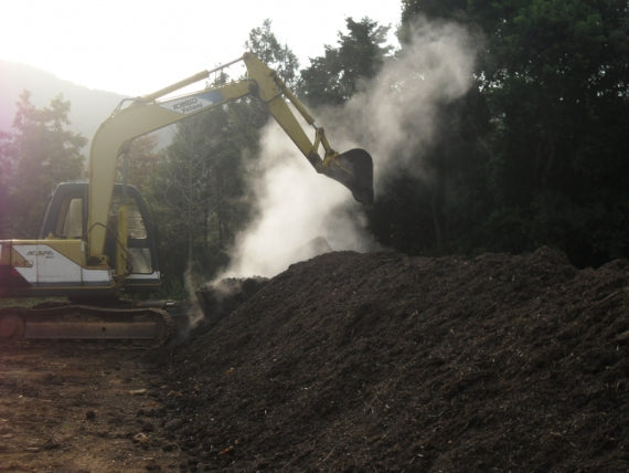 11/20~【3キロ箱入り】龍馬感激みかん（お手頃3キロ箱レギュラー）【送料無料一部地域を除く】【フルーツ】