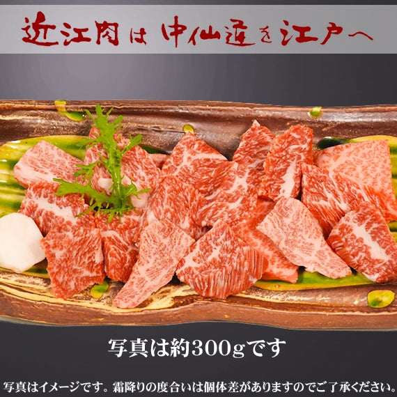 【近江牛の牝牛専門店】ミニステーキ用(バラ・モモ)　 300g
