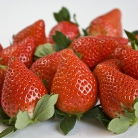 【受付中】やよいひめシングル×2箱(発送時期:2025年12月～）【送料込み】 群馬県