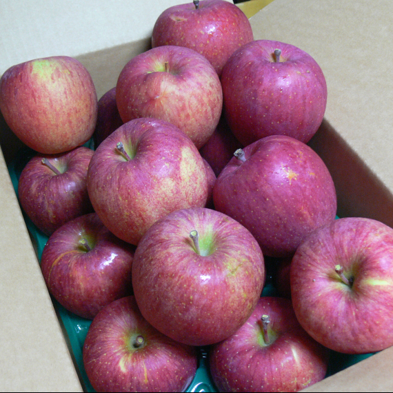 笹谷の完熟りんご詰合せ  【あじ撰（家庭用）-６ｋｇ】送料無料【お歳暮2025】【フルーツ】