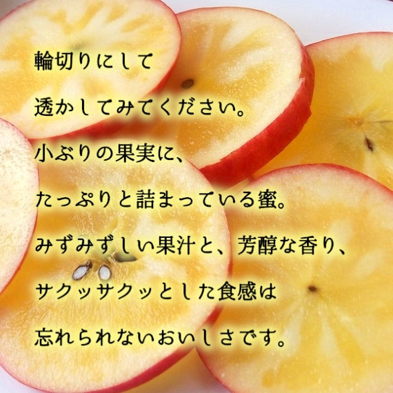 予約販売】究極の蜜入りりんご こみつ | 47CLUB – 名産・特産品・ご