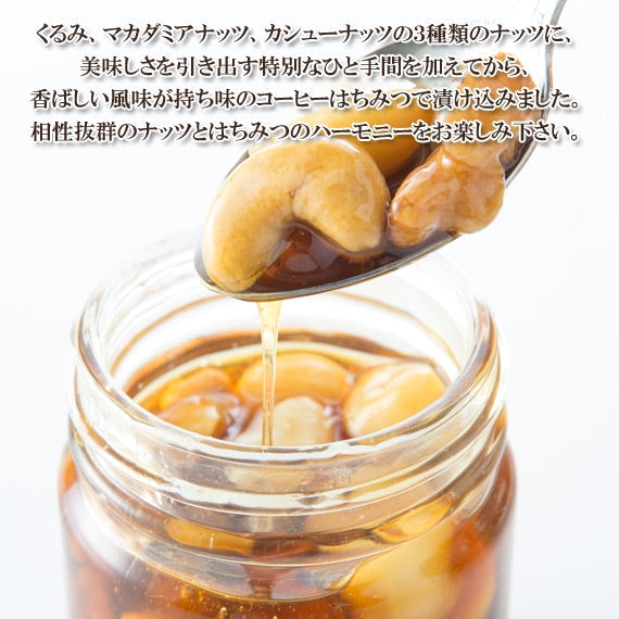 ごろごろナッツとはちみつ （100g）