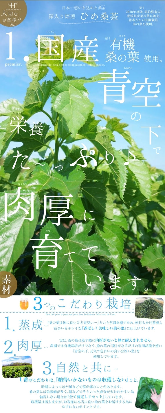 お試し、15個入り・ 毎日デトックスティー♪『ひめ桑茶』【送料無料・メール便】