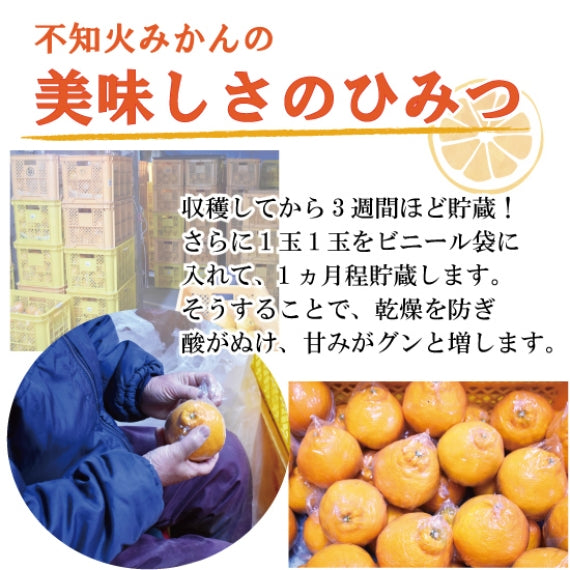 【送料無料】熊本県産　不知火みかん3kg(ハウス物)
