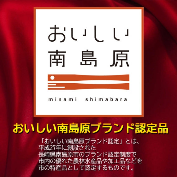 コク旨そしてジューシー！長崎じげもん豚はちみつ味噌ハンバーグ(6人前)【送料込】【朝日放送 エンカメで紹介】