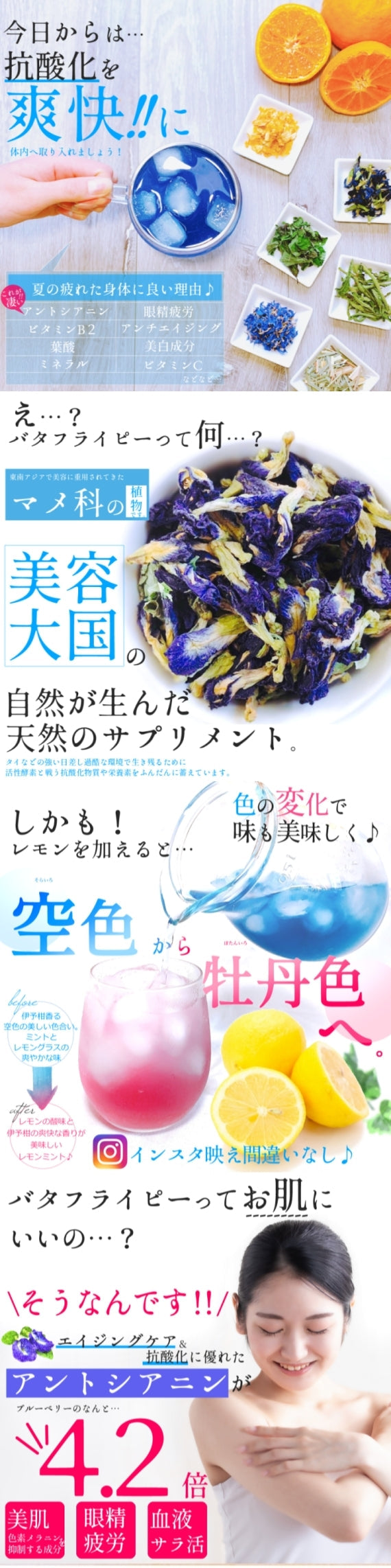 【送料無料・ネコポス便】この夏、1番の人気者! 『愛媛いよかんの空色ミントティー』 水出し用