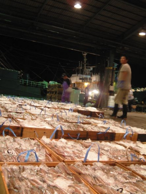 日本海の国産高級魚のどぐろ！食塩のみでのどぐろの旨みを引き出した一夜干し【送料込み】（北海道・沖縄は８８０円（消費税込み）加算となります。）