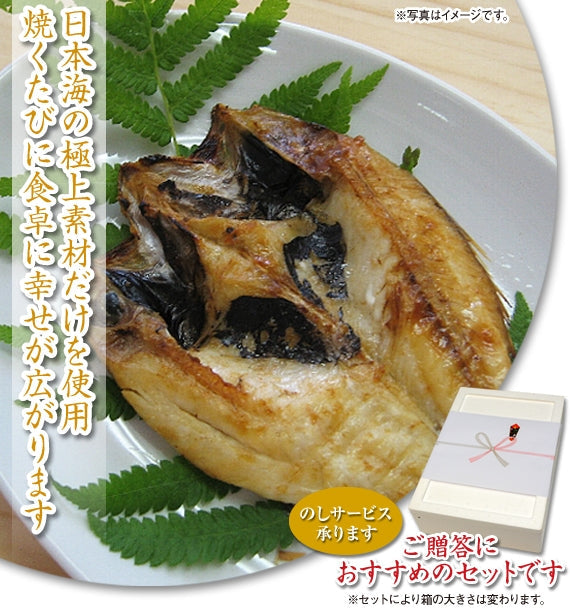 【日本海の恵みを山陰から】【送料無料】新鮮・豪華ひもの・だんだん４点セットB