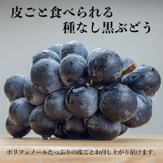 長野産葡萄　ナガノパープル