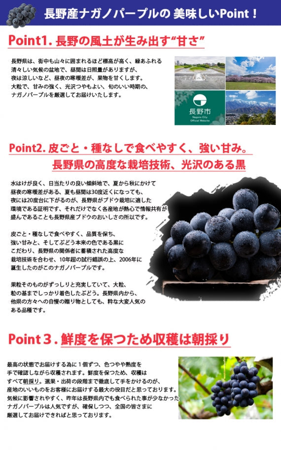 【売り切れ】【送料無料】長野県産ナガノパープル★900g～１㎏(2～３房)】長野県生まれの種なし・皮ごと食べることができる黒い葡萄です★※9月上旬から順次発送