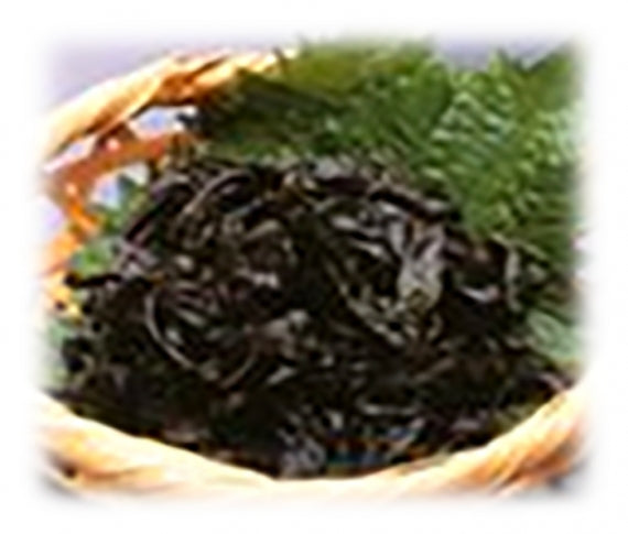（業務用）葉とうがらし 信州長野のお土産お惣菜