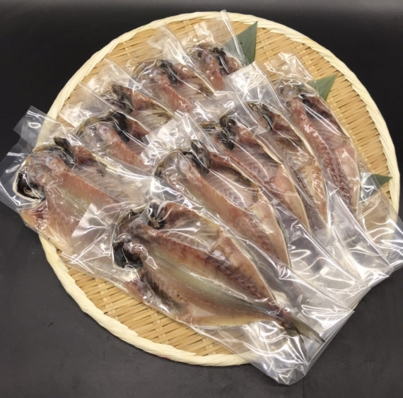 【送料無料】小田原加工あじ干物（大判１０枚セット）脂が乗っています！