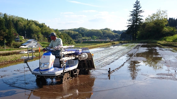 【令和７年産】「出雲國　仁多米」5kg×1袋　自然の恵みと徹底した品質管理【送料込】