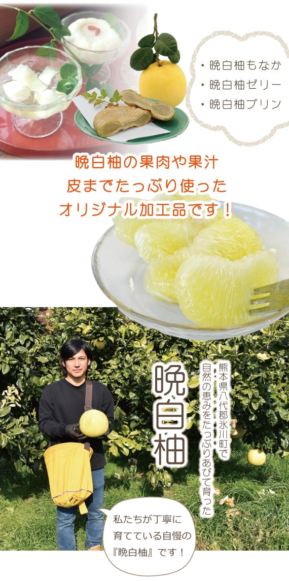 【贈り物にオススメ！】熊本感たっぷり♪晩白柚スイーツギフト