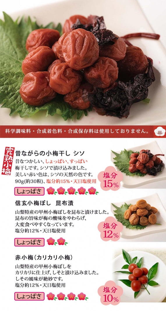 長谷川醸造☆オススメセット