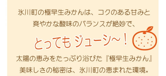 訳あり！ご自宅用みかん5㎏