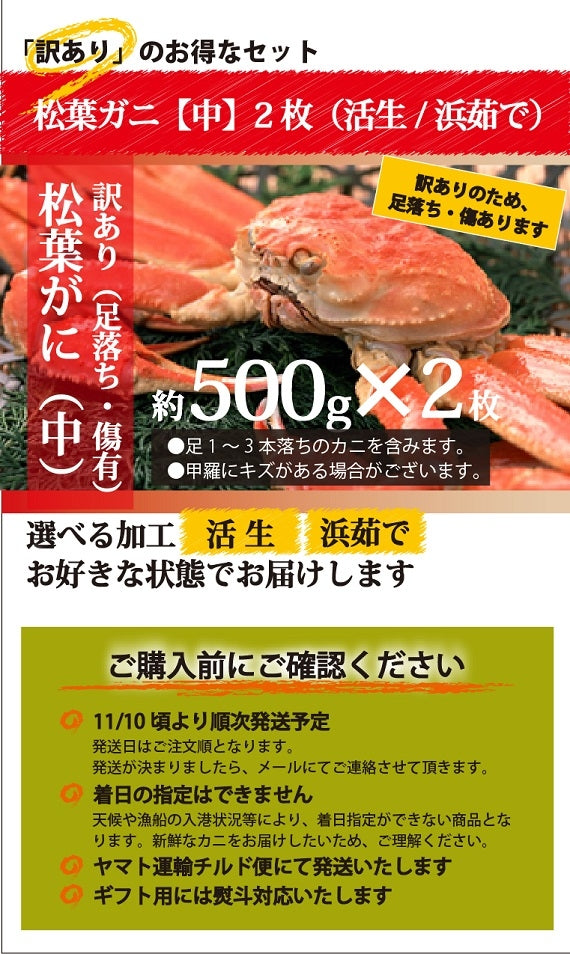 ★訳あり★お得な松葉ガニ（中/450-600g）✕2枚セット【生／茹で】
