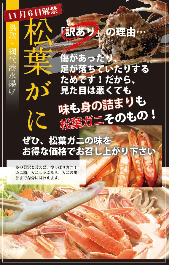 ★訳あり★　お得な松葉ガニ超特大サイズ（1.1㎏-1.3㎏）【生／茹で】