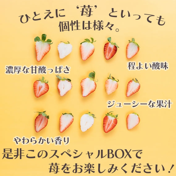 【予約販売】いちご12種食べ比べ