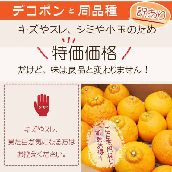 【ご自宅用】訳あり不知火みかん　5kg 【発送：3月～】＝＝今シーズンの販売は終了しました＝＝
