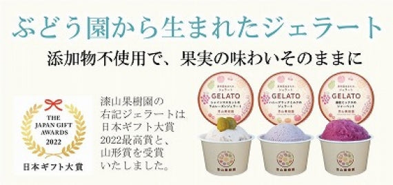 【送料無料】ふるさとギフト最高賞受賞ジェラート3種　各2個入り6個