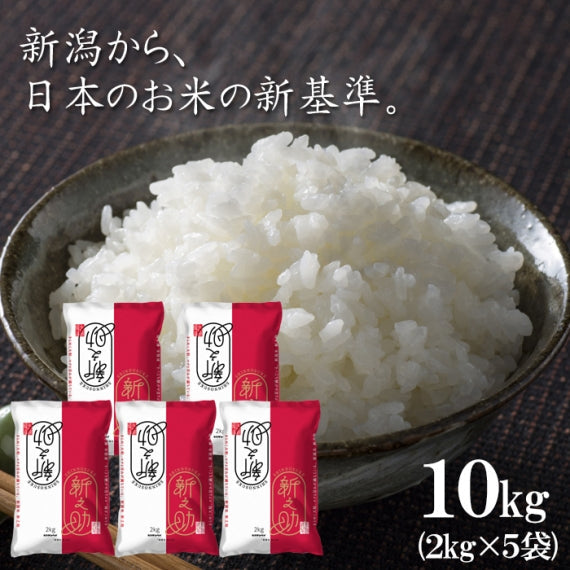 【送料込】米 10kg （2kg×5袋） 令和6年産 新之助 新潟県産 お米 ブランド米 精米 白米 ギフト 2025 産地直送