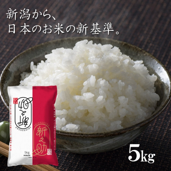 【送料込】米 5kg 令和6年産 新之助 新潟県産 お米 ブランド米 精米 白米 ギフト