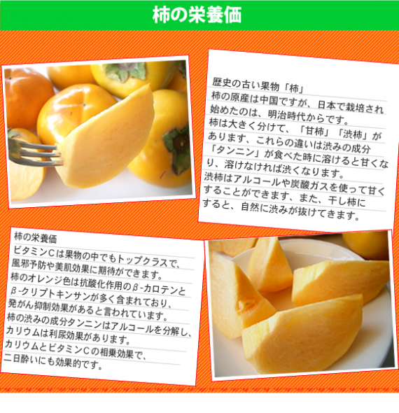 【送料無料】 九州産太秋柿