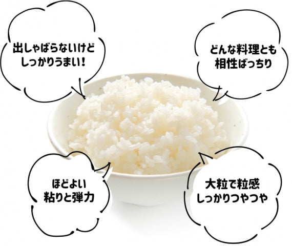 令和６年　千葉県　くず米 28kg 令和6年 千葉県 くず米 28kg シカタ Amazon.co.jp: 新米令和6