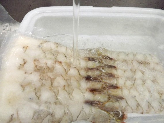 【エビフライに！】料理店卸しの「最も大きくとてもきれいなバナメイエビ15尾」【下処理、背伸ばし済みなので解凍後すぐに調理出来ます】